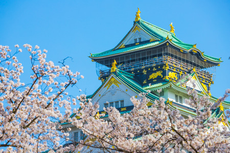 Osaka Castle and cherry blossomsのeditorial素材