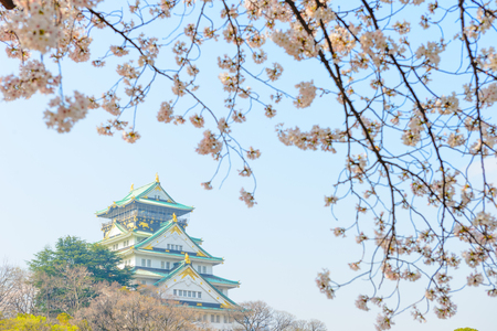 Osaka Castle and cherry blossomsのeditorial素材
