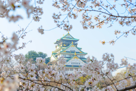 Osaka Castle and cherry blossomsのeditorial素材