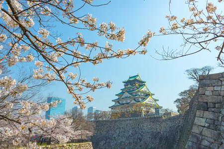 Osaka Castle and cherry blossomsのeditorial素材