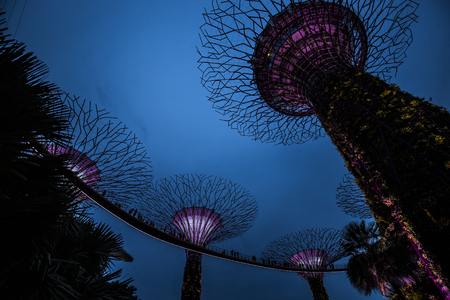 SINGAPORE, May 16,2018 : Super trees at garden by the bay in marina bay Singapore.Colorful lighting show and music at the night.のeditorial素材