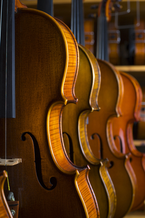 Studio shooting violinの写真素材