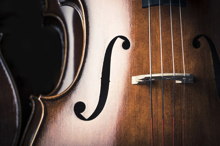 Cello Studio shootの写真素材