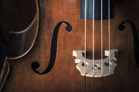 Cello Studio shootの写真素材