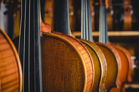 Studio shooting violinの写真素材