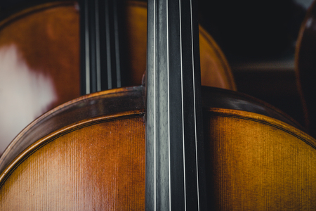 Cello Studio shootの写真素材