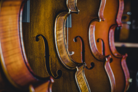 Studio shooting violinの写真素材
