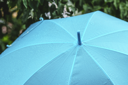 Rain and umbrellasの写真素材