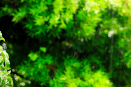 Rain and green background