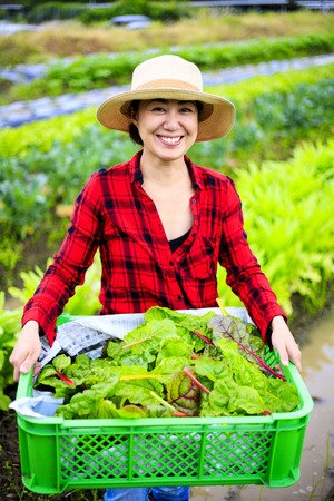 Asian woman doing agricultural workの写真素材