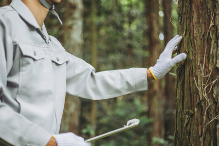Asian man working with forestryの写真素材