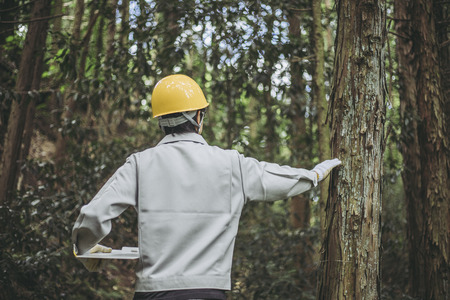 Asian man working with forestryの写真素材