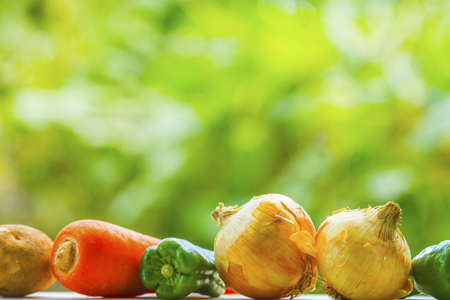 vegetables and green backの写真素材