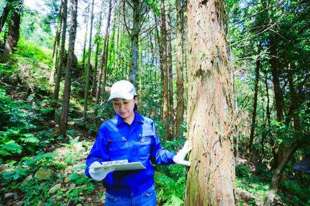 Asian women working with forestry