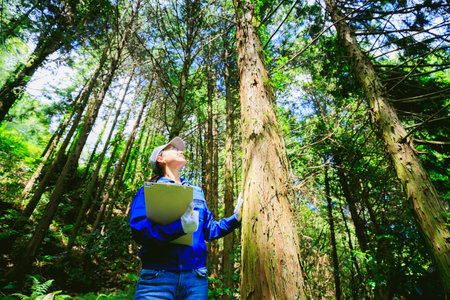 Asian women working with forestry