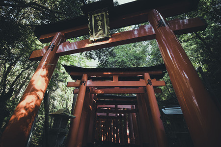 Kyoto, Japan - November 8, 2018: Fushimi Inari Taisha Shrine located in Southern Kyoto, Japan.のeditorial素材