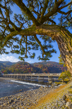 Kyoto, Japan - November 27, 2018: Togetsukyo Bridge in Arashiyama Kyoto Japan.のeditorial素材