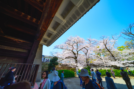 Osaka,Japan - March 28, 2018: Osaka Castle in Osaka, Japan. The castle is one of Japan's most famous landmarks.のeditorial素材