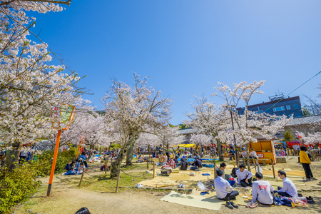 Kyoto,Japan - March 30, 2018: Maruyama Park is a public park next to Yasaka Shrine in the Higashiyama District Kyoto,Japan.のeditorial素材
