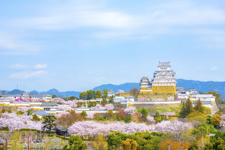 Hyogo,Japan - April 1, 2018: Himeji Castle and Cherry Blossoms in Hyogo, Japan. The castle is one of Japan's most famous landmarks.のeditorial素材