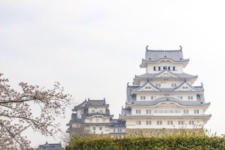 Hyogo,Japan - April 1, 2018: Himeji Castle and Cherry Blossoms in Hyogo, Japan. The castle is one of Japan's most famous landmarks.のeditorial素材