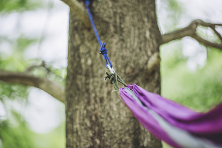Hammock and outdoorの写真素材