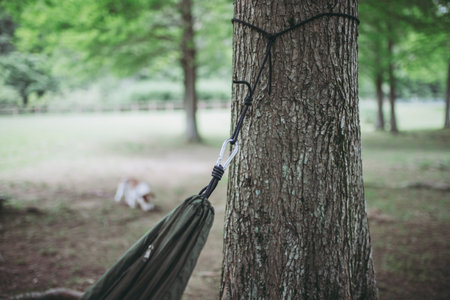 Hammock and outdoor