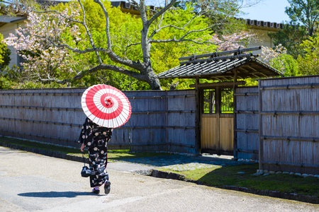 Japanese female kimono and umbrellaの写真素材