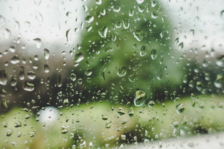 Window and rain