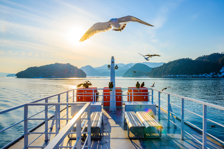 Birds flying with the seaの写真素材