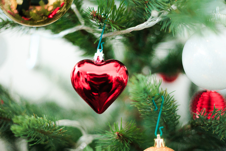 Christmas and Treeの写真素材