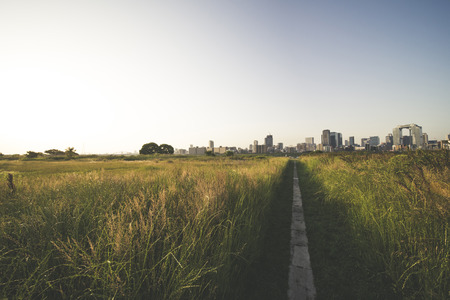 Road and grassの写真素材