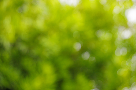 Green blur background and textureの写真素材