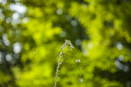 Green and drinking waterの写真素材