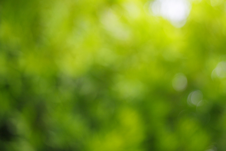 Green blur background and textureの写真素材