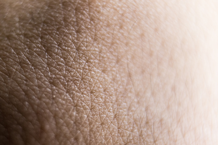 Scaling of the skinの写真素材