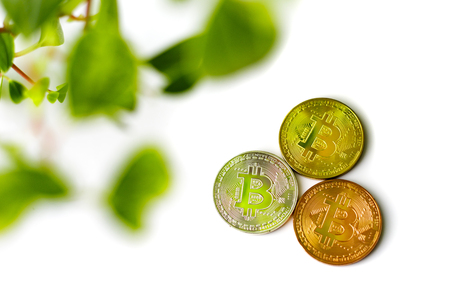 Business and bit coinの写真素材