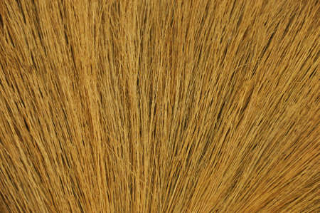 backgroundの写真素材