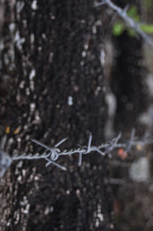 background の写真素材