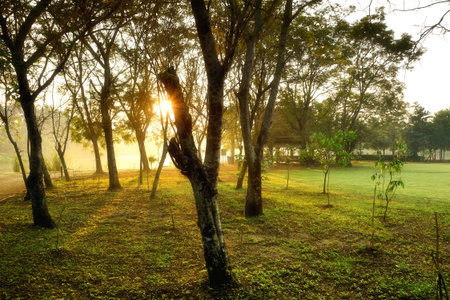 Sri Nakhon Khuean Khan Park and Botanical Garden