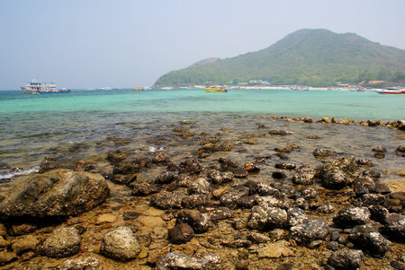 Beachの写真素材