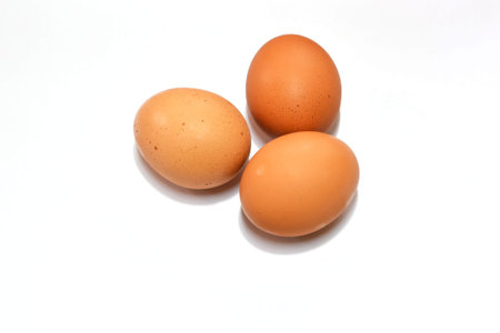 Fresh Eggs on white backgroundの写真素材