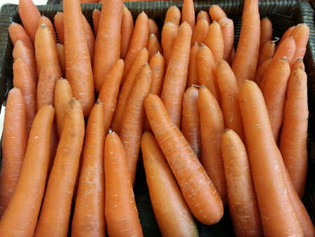 Carrotsの素材