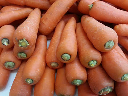 Carrotsの素材