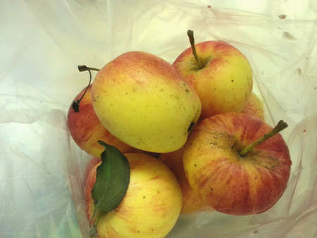 Apples in plastic bagの素材