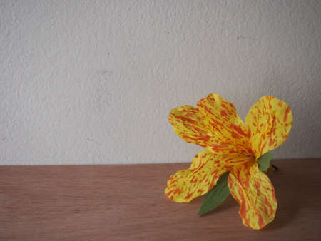 Handmade canna flower for offering to Daddy on the wooden tableの写真素材