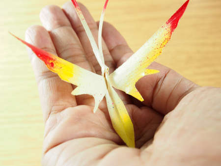 Handmade butterfly in hand for decoration, made from dried leafs of nipa palm with colorful artの写真素材