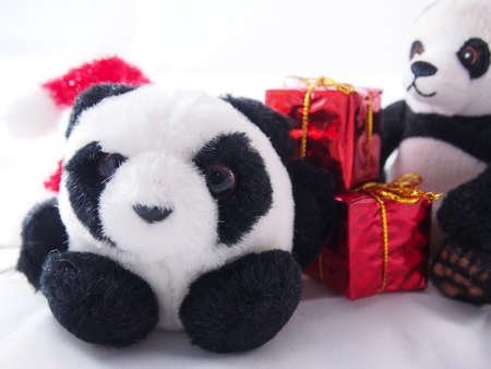 Little fat panda dolls, dark black rims of eyes with Christmas day conceptの写真素材