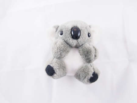 Koala, gray soft bear doll lie down on the bed, toy and souvenirの写真素材