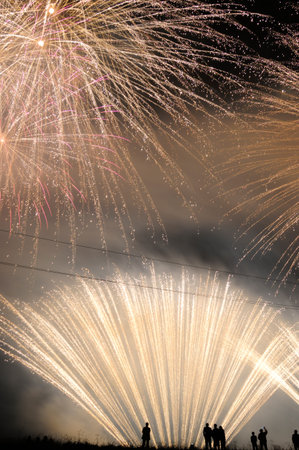 people and fireworks